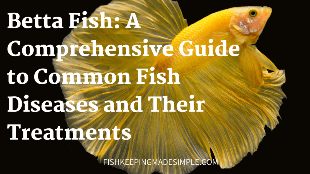 Betta Fish: A Comprehensive Guide To Fish Diseases And Their Treatments ...