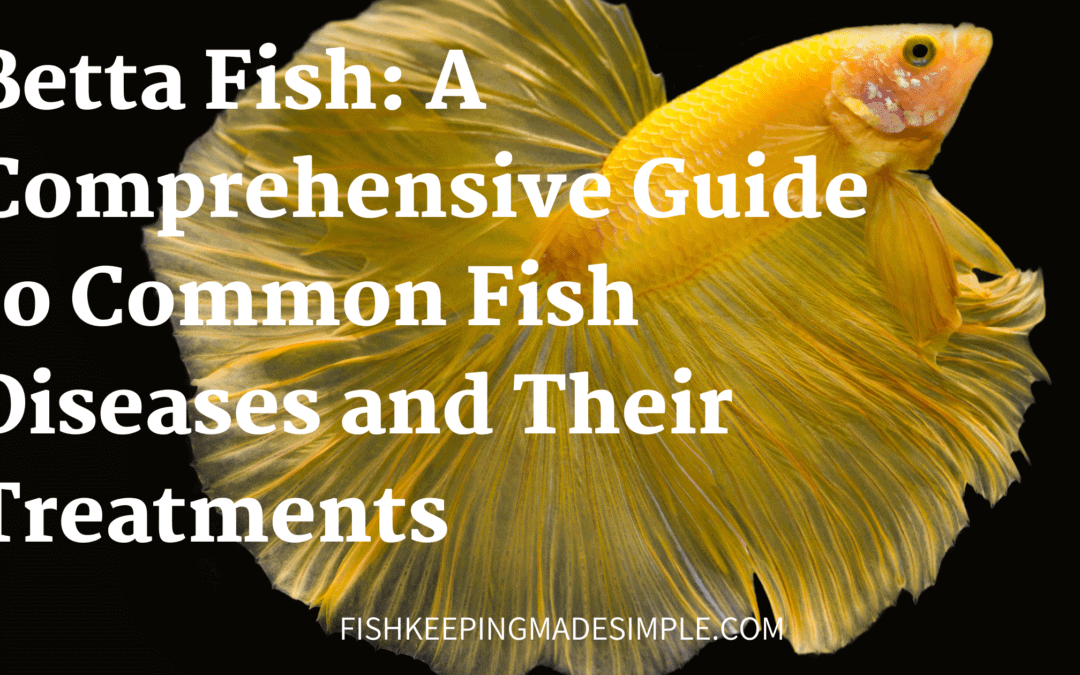 Betta Fish: A Comprehensive Guide to Fish Diseases and Their Treatments ...