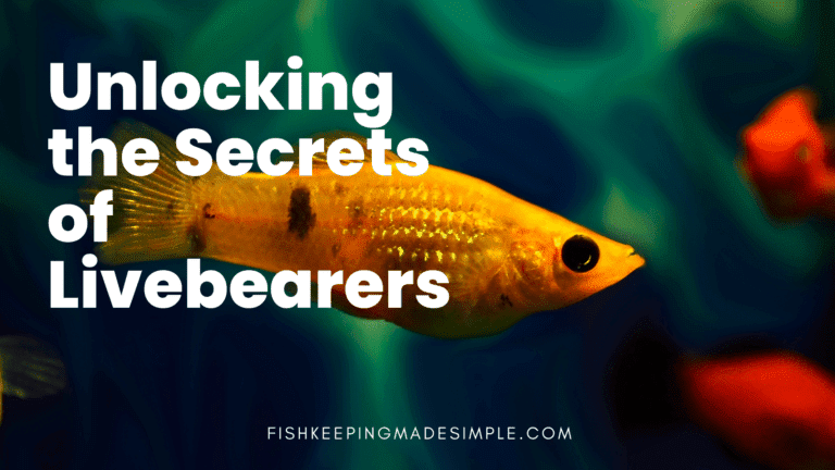 Unlocking the Secrets of Livebearers